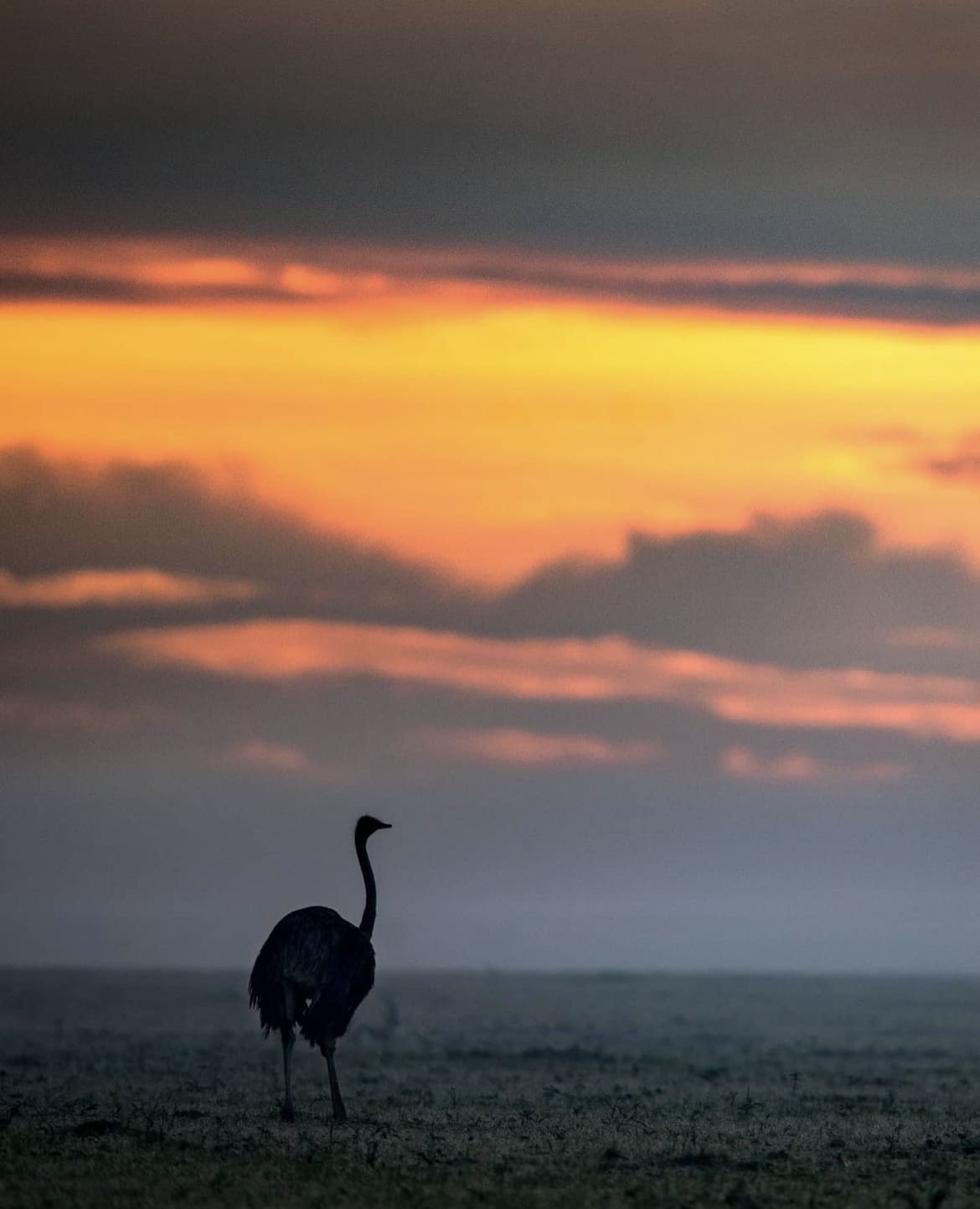 Afrrican sunset